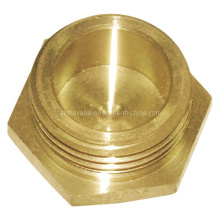 Brass Fitting /Brass Bush/Brass Pipe Fitting (a. 0310)